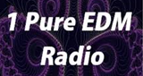 One Pure EDM Radio