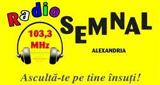 Radio Semnal