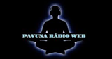 Pavuna Rádio Web