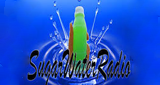 Sugar Water Radio