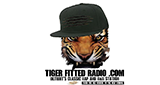 Tiger Fitted Radio