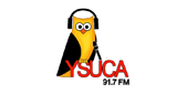 YSUCA