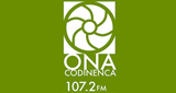 Ona Codinenca