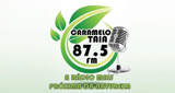 Rádio Carmelotaia