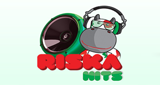 Riska Music Rádió – Hits