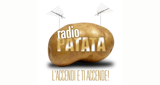 RADIO Patata