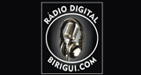 Rádio Digital Birigui