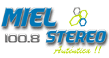 Miel Stereo