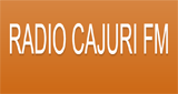 Rádio Cajuri FM