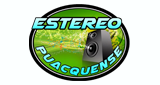 Estereo Puacquense