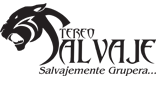 Stereo Salvaje