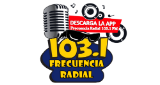 Frecuencia Radial