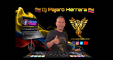 Dj Pajaro Herrera Radio